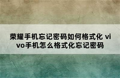 荣耀手机忘记密码如何格式化 vivo手机怎么格式化忘记密码